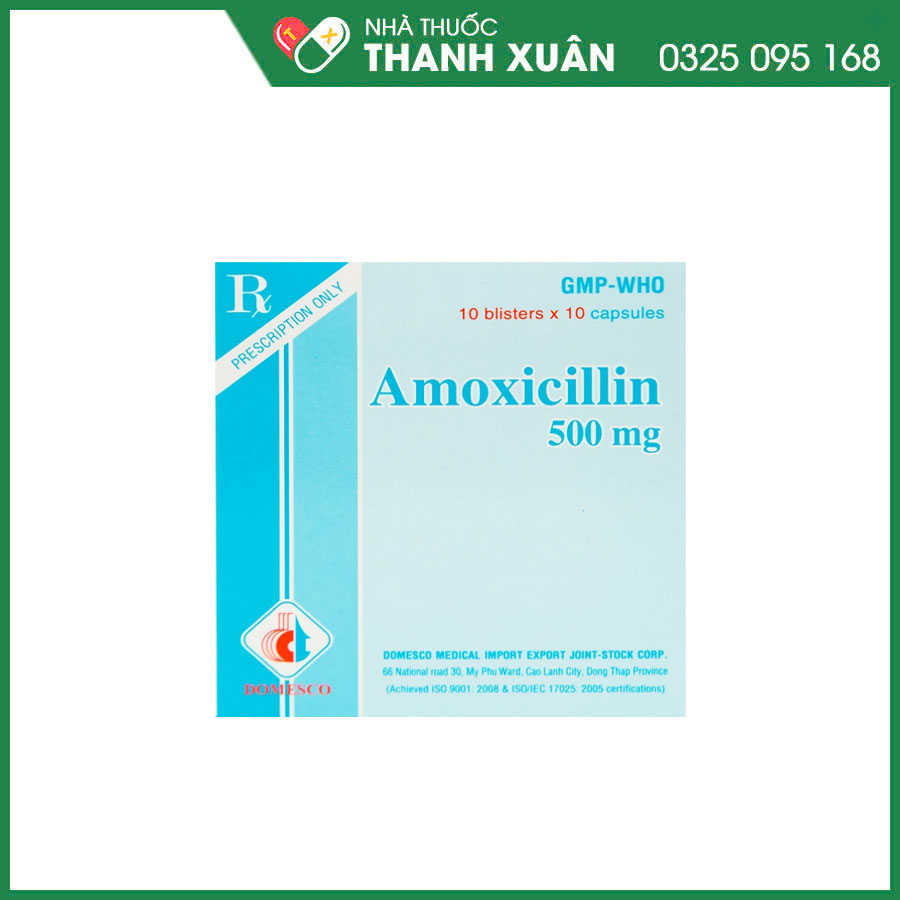 Amoxicillin 500mg Domesco thuốc kháng sinh điều trị nhiễm khuẩn hô hấp, tiết niệu, da và mô, viêm dạ dày-ruột